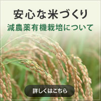 安心な米づくり（減農薬無化学肥料栽培について）