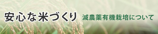 安心な米づくり（減農薬無化学肥料栽培について）